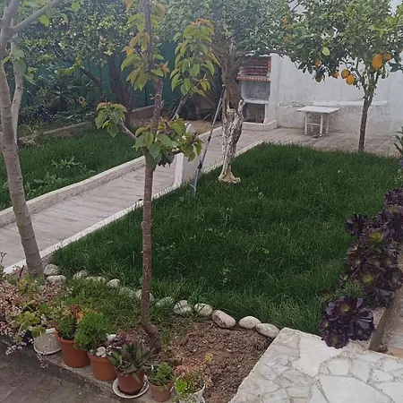 Ginjals_67 Apartamento Almargem